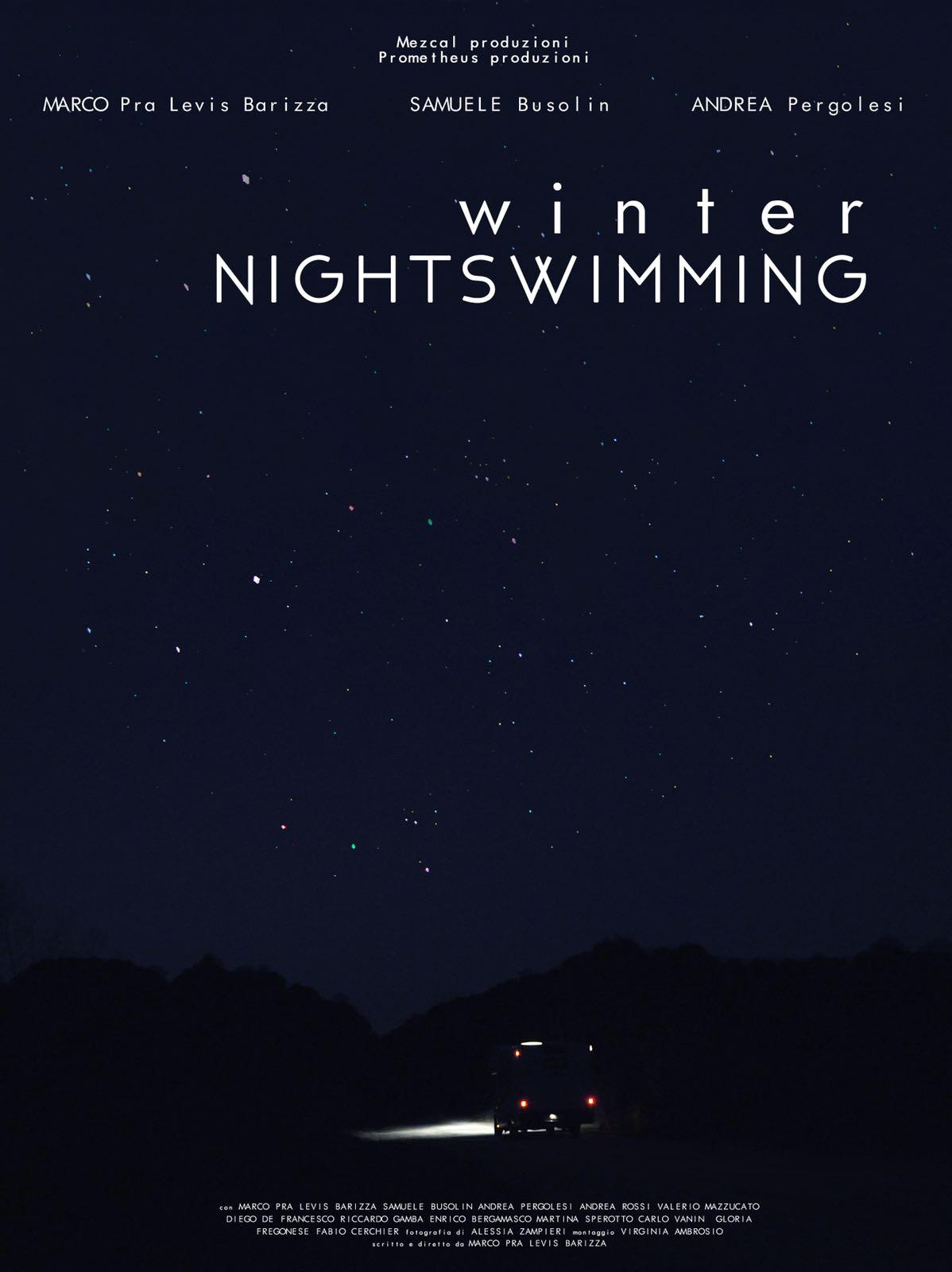 Winter Nightswimming
